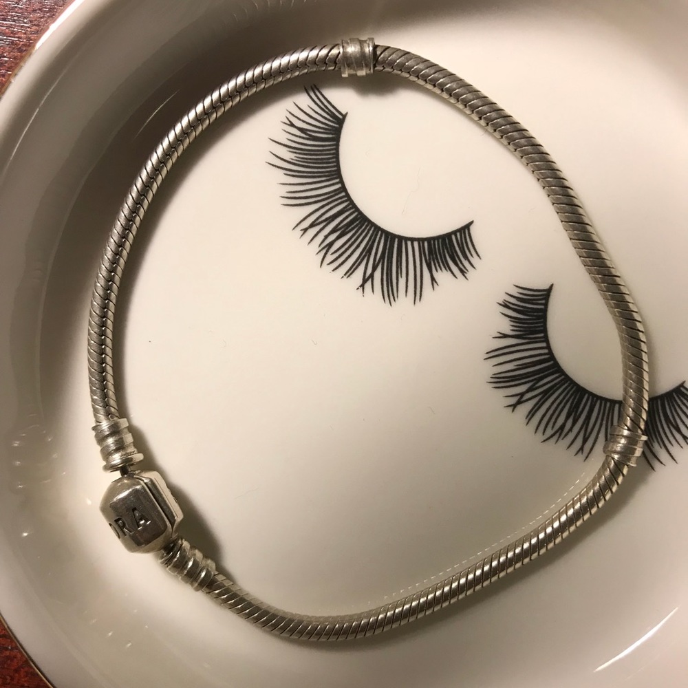 Pandora Charm Bracelet